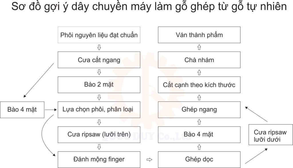 Chuyền sản xuất ván ghép sản lượng lớn sơ đồ chuyền làm gỗ ghép từ gỗ tự nhiên | quốc duy