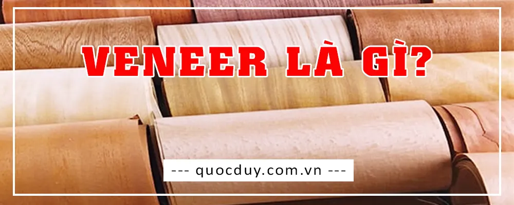 Veneer là gì | Quốc Duy